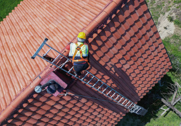 Best Roof Moss and Algae Removal  in Port Arthur, TX